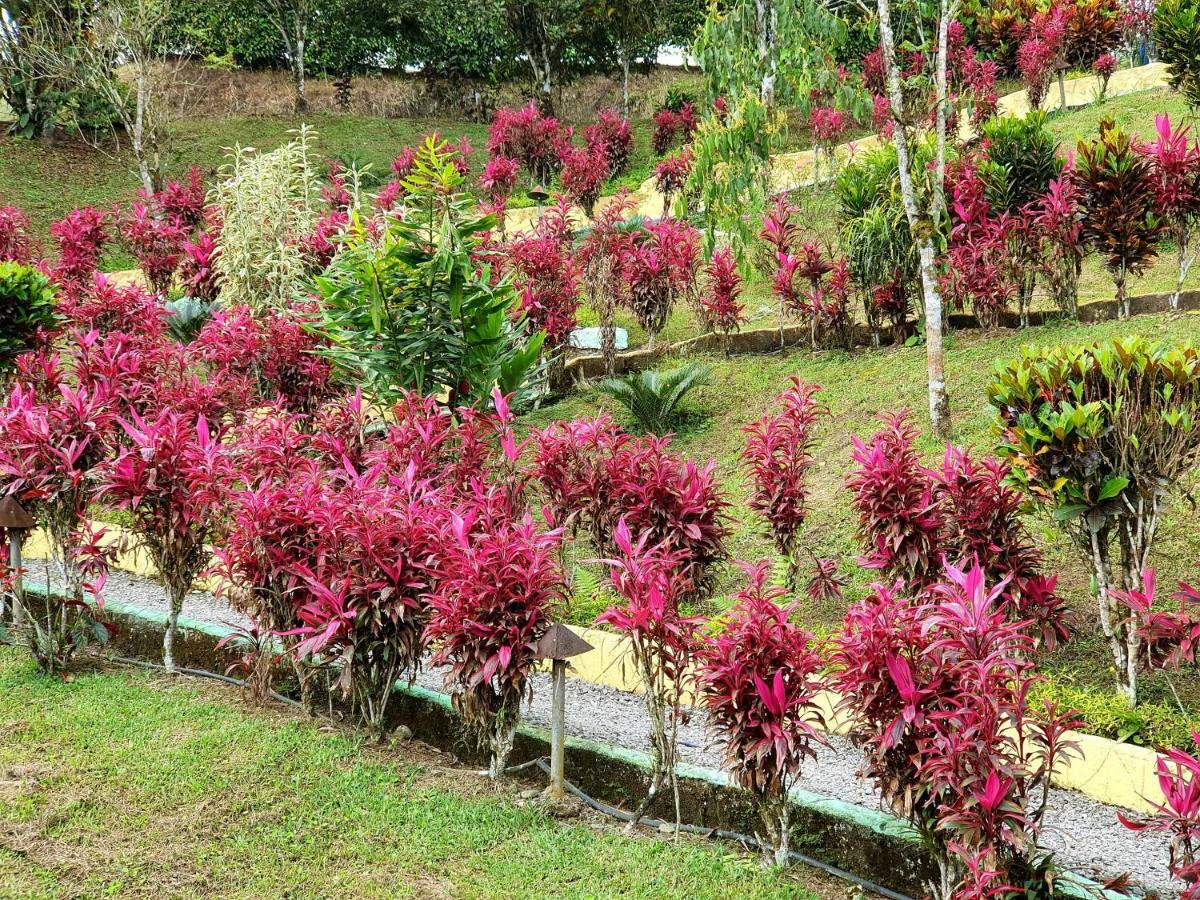 Hosteria Kasadasa Santo Domingo de los Colorados Eksteriør bilde
